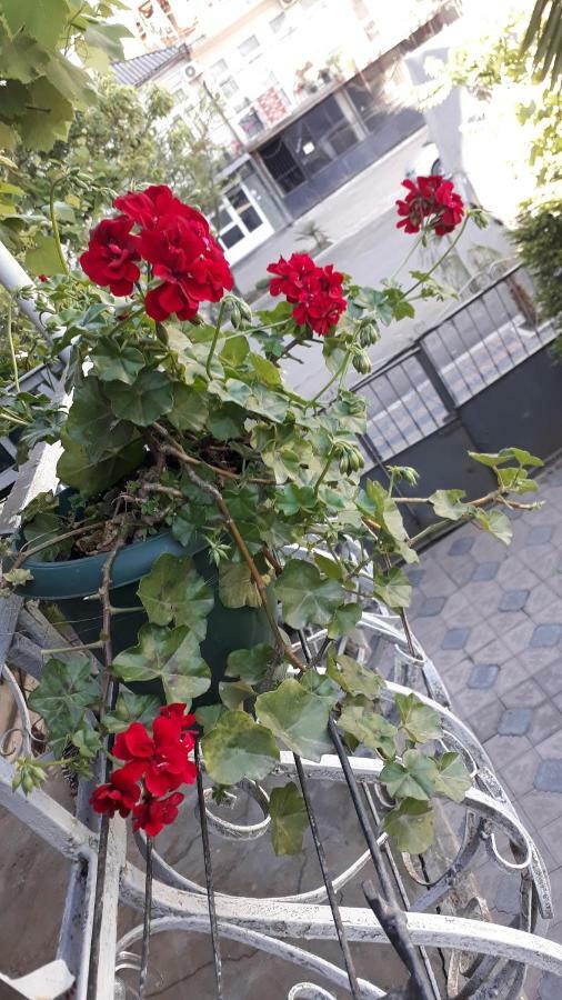 Homestay Izolda Batumi Ngoại thất bức ảnh
